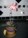dort orchidej